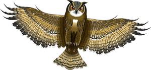 Cerf-volant Günther Flugspiele Hibou 1193